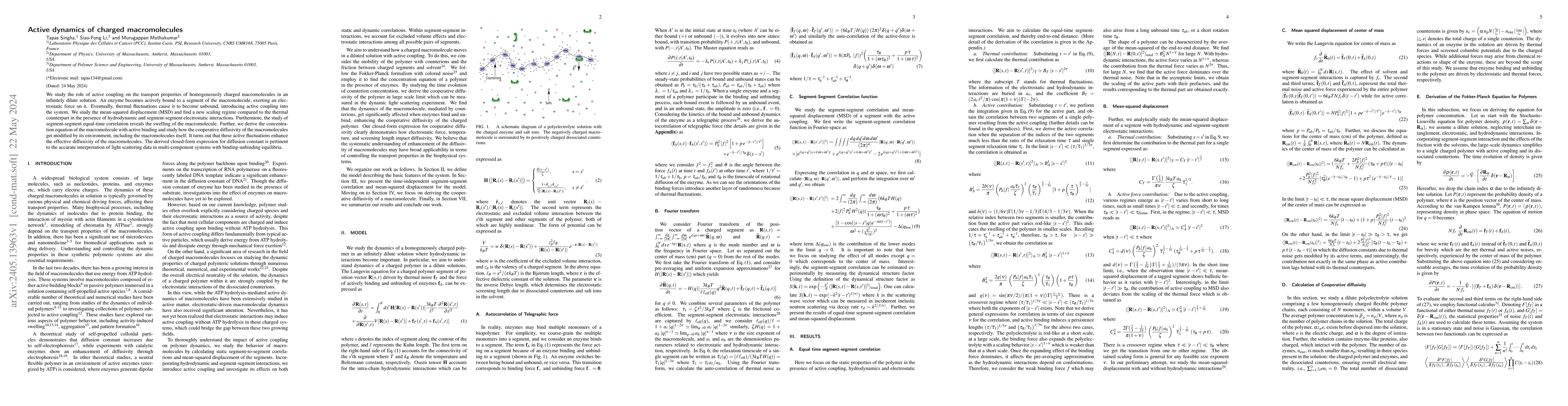 Thumbnail for Active dynamics of charged macromolecules