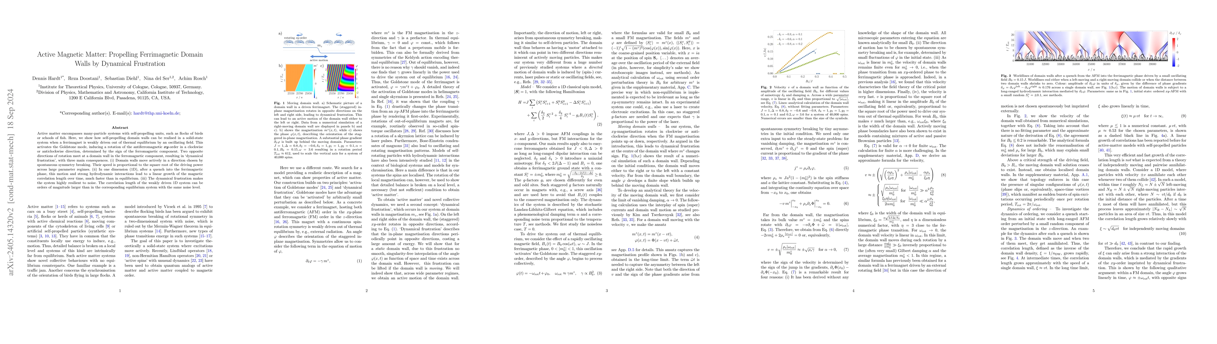 Thumbnail for Active Magnetic Matter: Propelling Ferrimagnetic Domain Walls by
  Dynamical Frustration