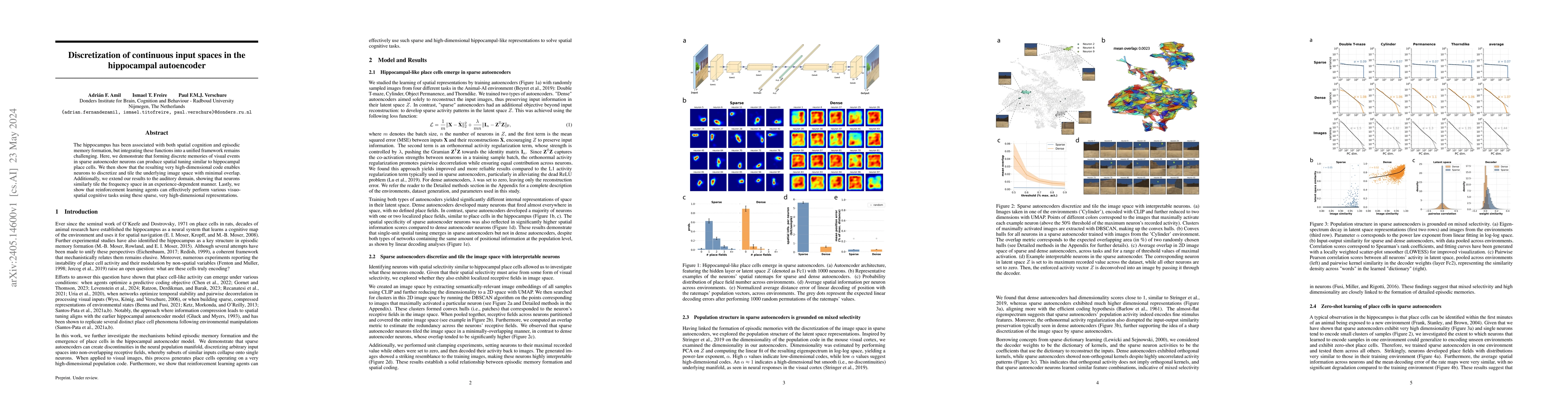Thumbnail for Discretization of continuous input spaces in the hippocampal autoencoder