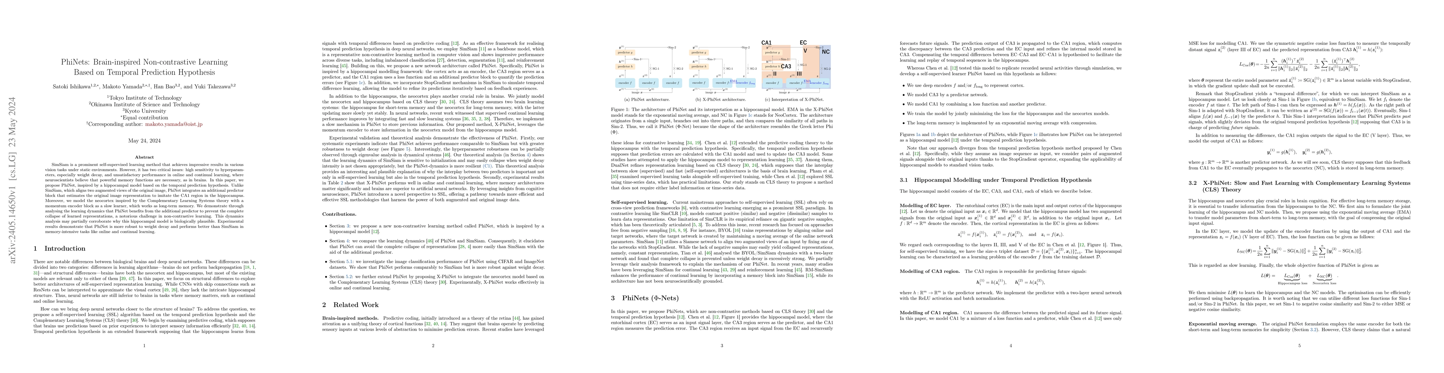 Thumbnail for PhiNets: Brain-inspired Non-contrastive Learning Based on Temporal
  Prediction Hypothesis