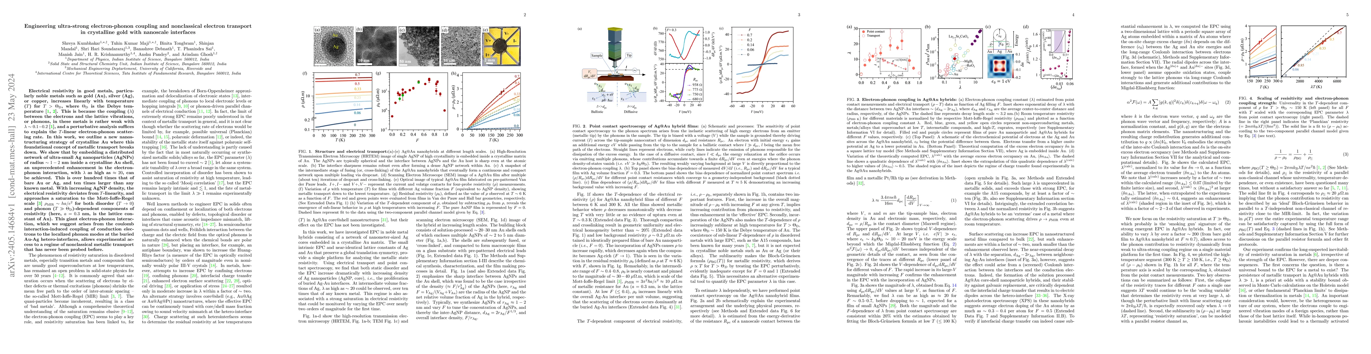 Thumbnail for Engineering ultra-strong electron-phonon coupling and nonclassical
  electron transport in crystalline gold with nanoscale interfaces