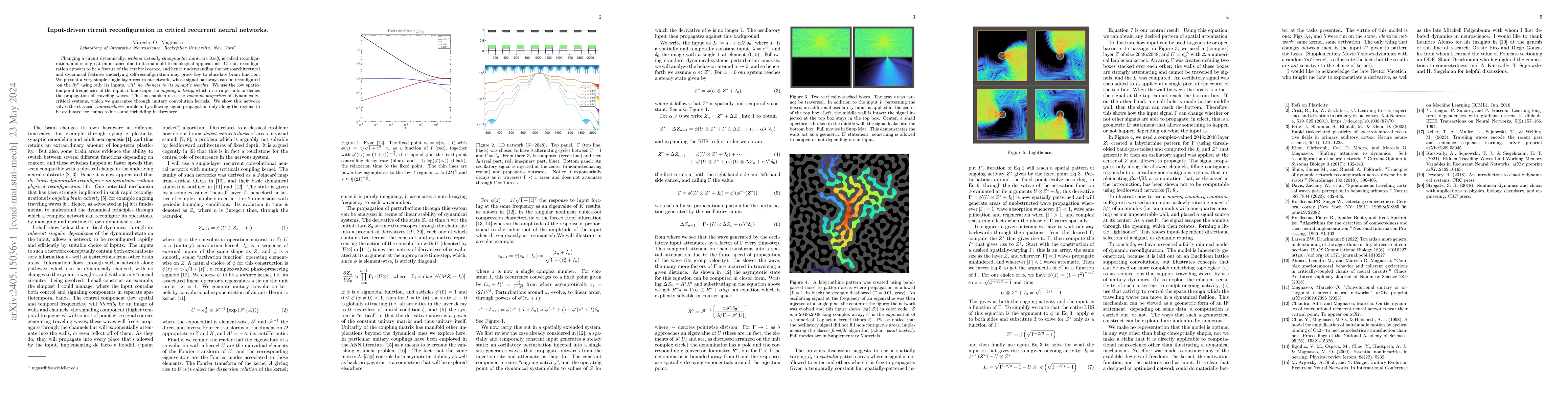Thumbnail for Input-driven circuit reconfiguration in critical recurrent neural
  networks