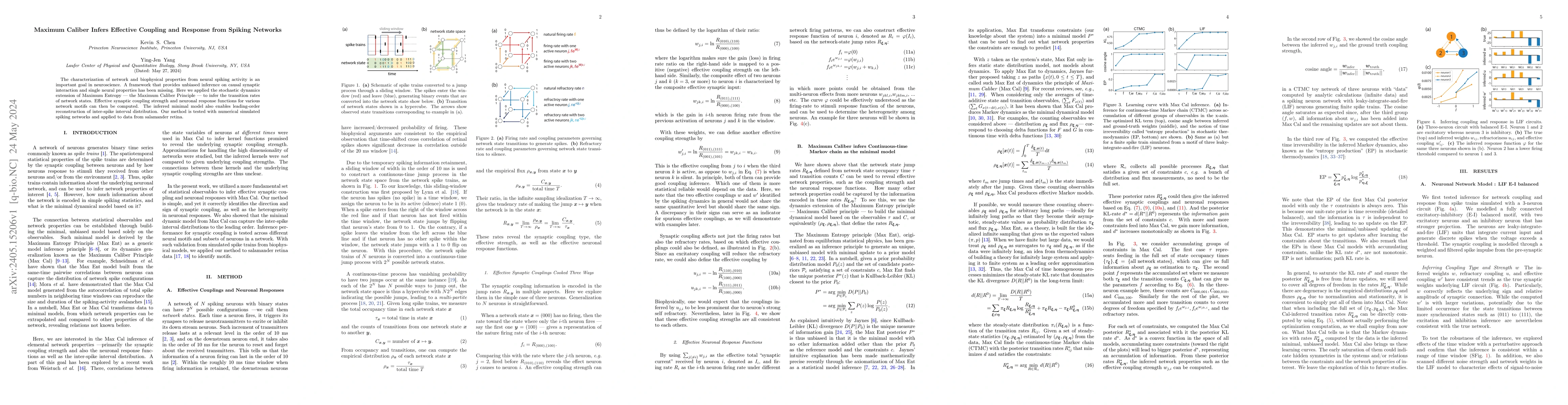 Thumbnail for Maximum Caliber Infers Effective Coupling and Response from Spiking
  Networks