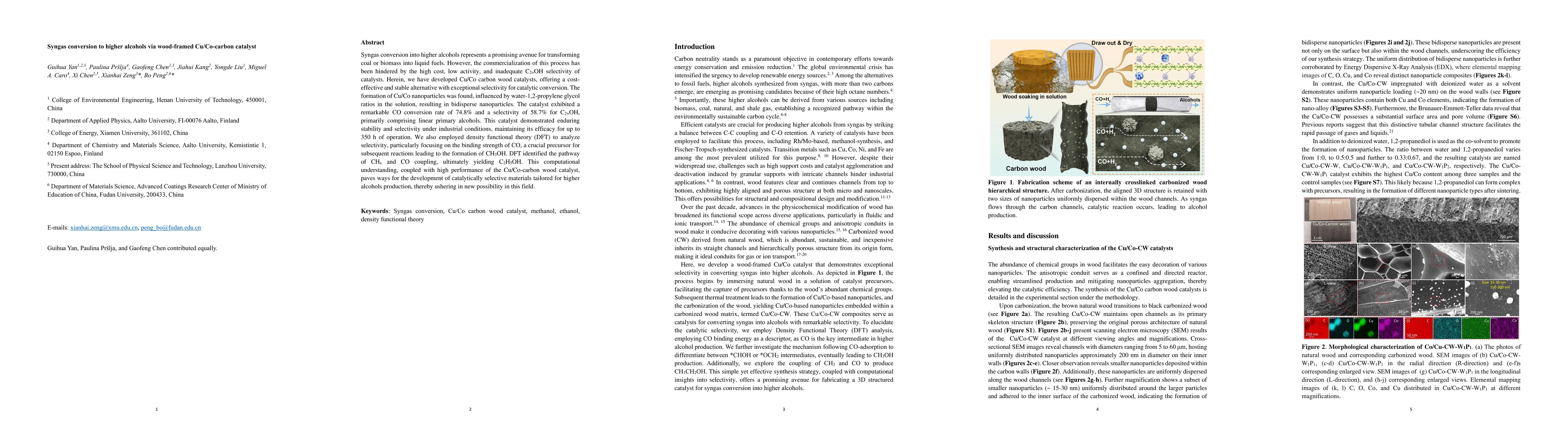 Thumbnail for Syngas conversion to higher alcohols via wood-framed Cu/Co-carbon
  catalyst