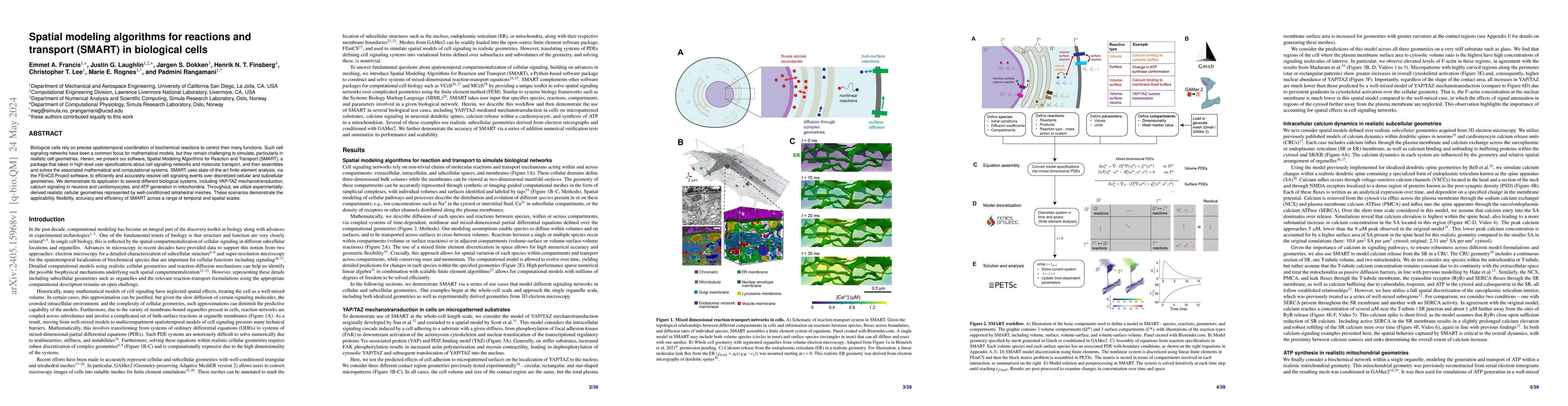Thumbnail for Spatial modeling algorithms for reactions and transport (SMART) in
  biological cells