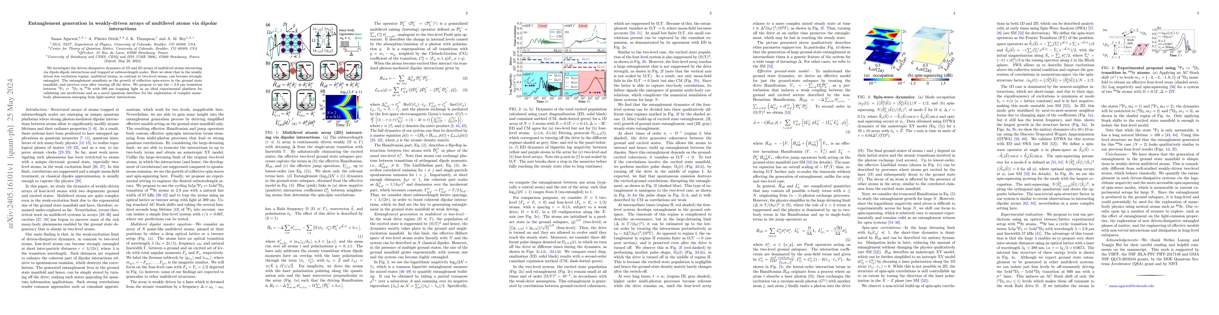 Thumbnail for Entanglement generation in weakly-driven arrays of multilevel atoms via
  dipolar interactions
