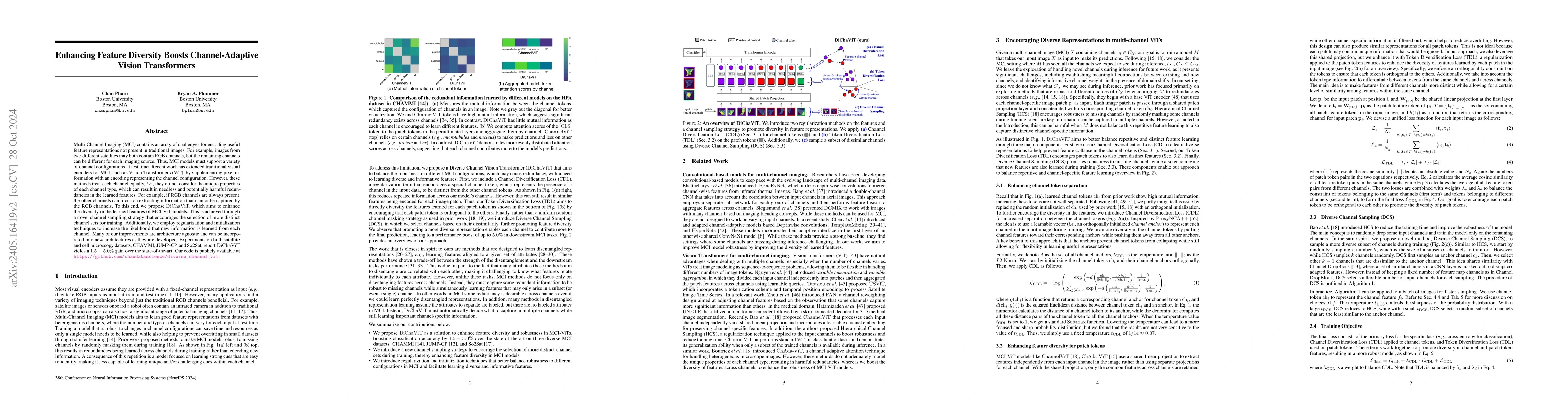 Thumbnail for Enhancing Feature Diversity Boosts Channel-Adaptive Vision Transformers