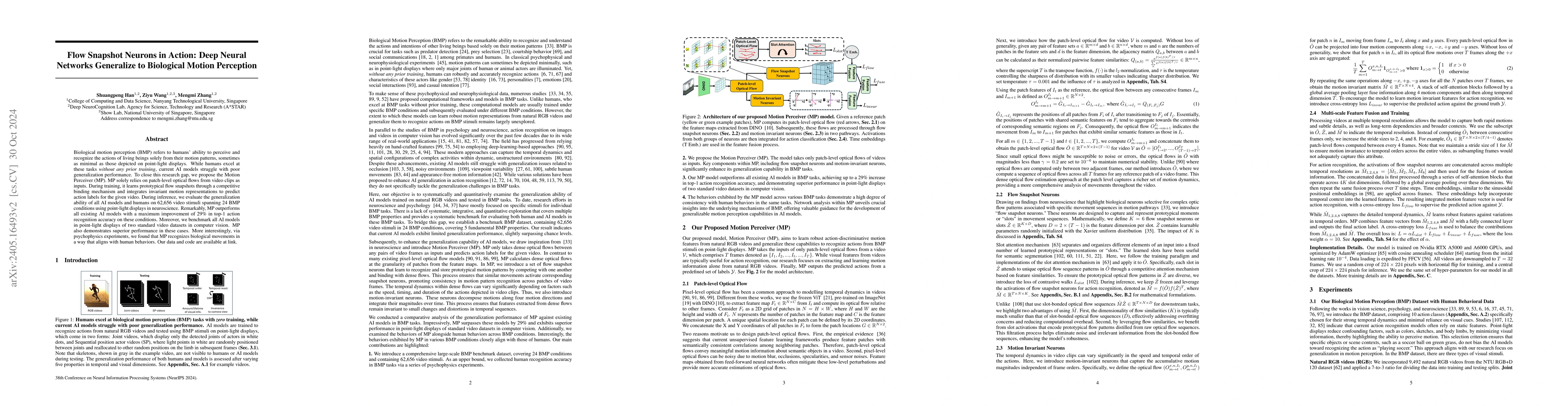 Thumbnail for Flow Snapshot Neurons in Action: Deep Neural Networks Generalize to
  Biological Motion Perception