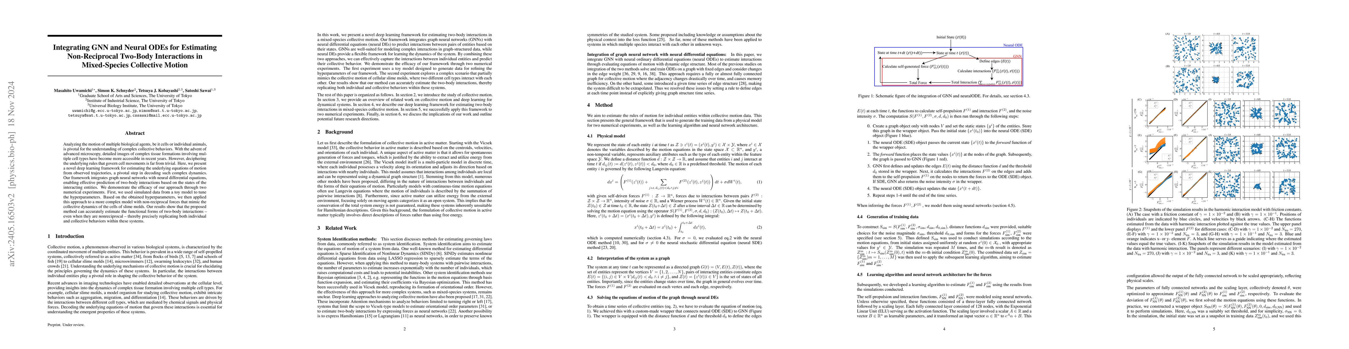 Thumbnail for Integrating GNN and Neural ODEs for Estimating Two-Body Interactions in
  Mixed-Species Collective Motion