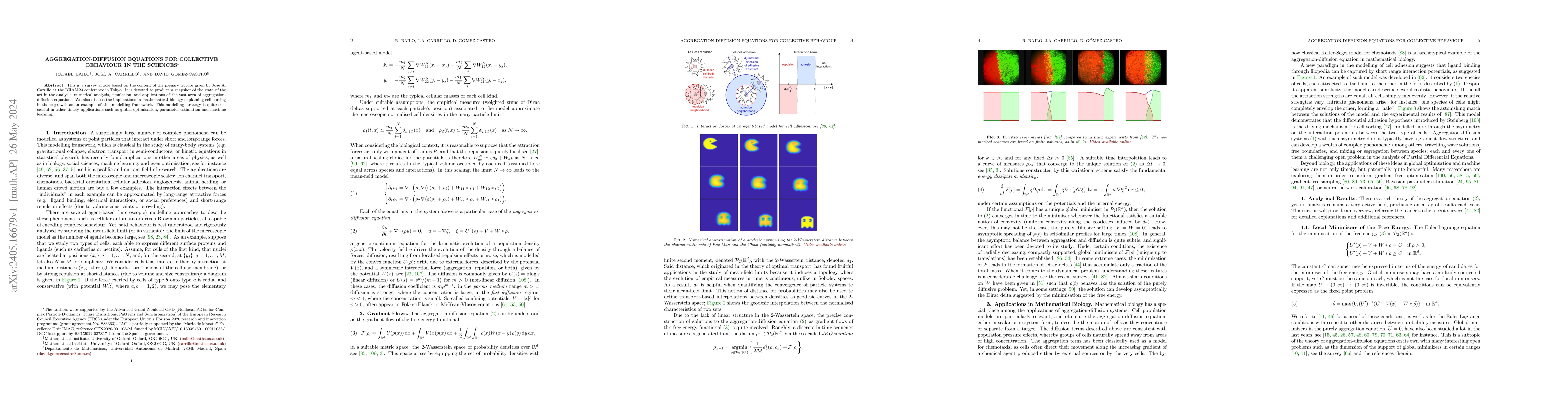 Thumbnail for Aggregation-Diffusion Equations for Collective Behaviour in the Sciences