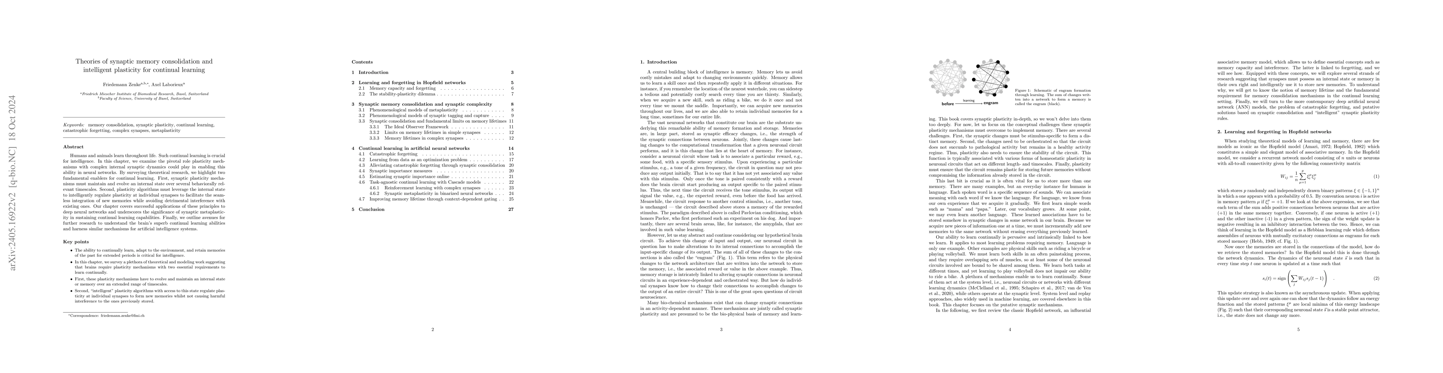 Thumbnail for Theories of synaptic memory consolidation and intelligent plasticity for
  continual learning
