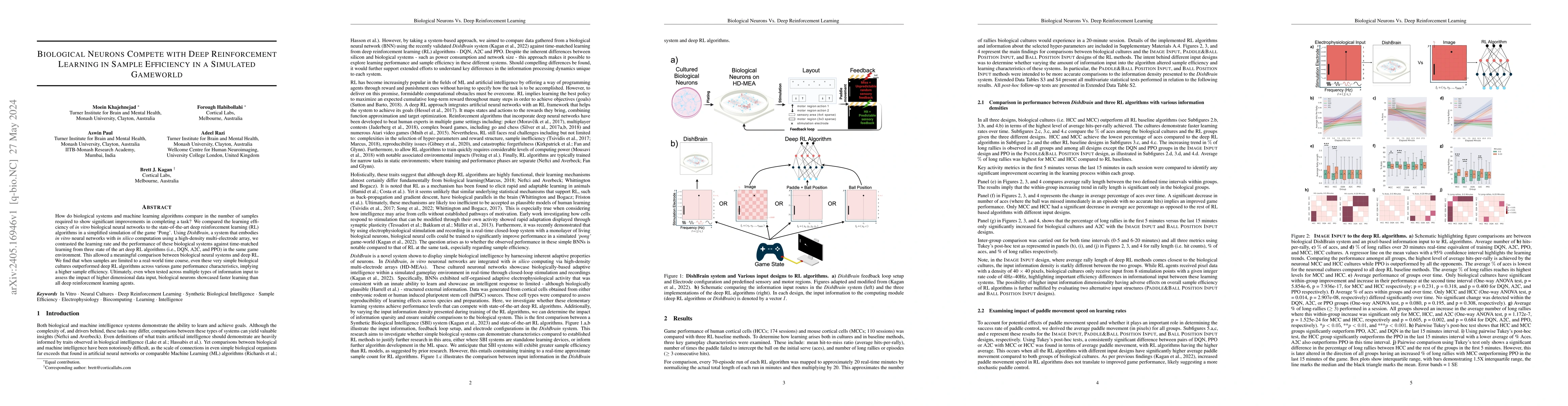 Thumbnail for Biological Neurons Compete with Deep Reinforcement Learning in Sample
  Efficiency in a Simulated Gameworld