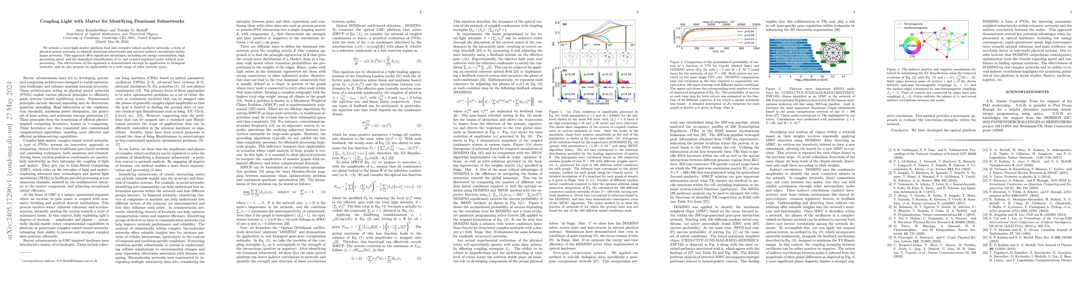 Thumbnail for Coupling Light with Matter for Identifying Dominant Subnetworks
