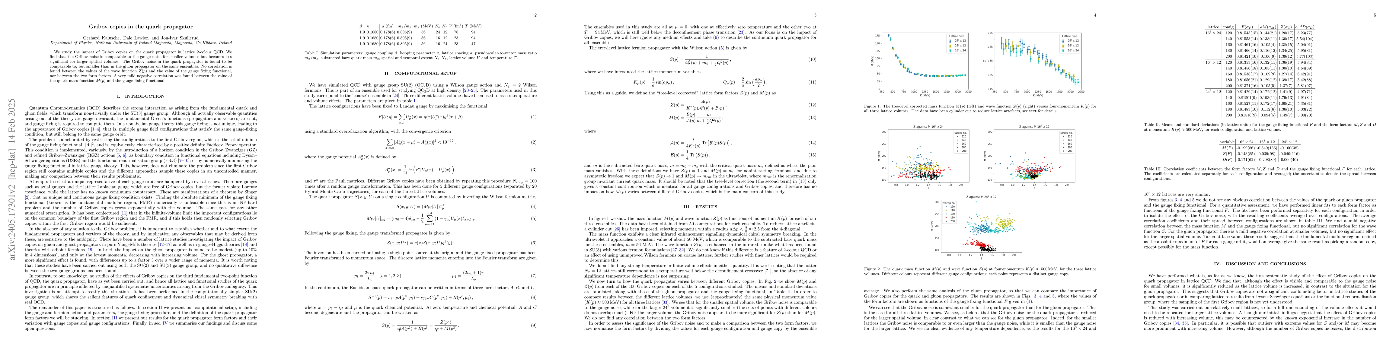 Thumbnail for Gribov copies in the quark propagator