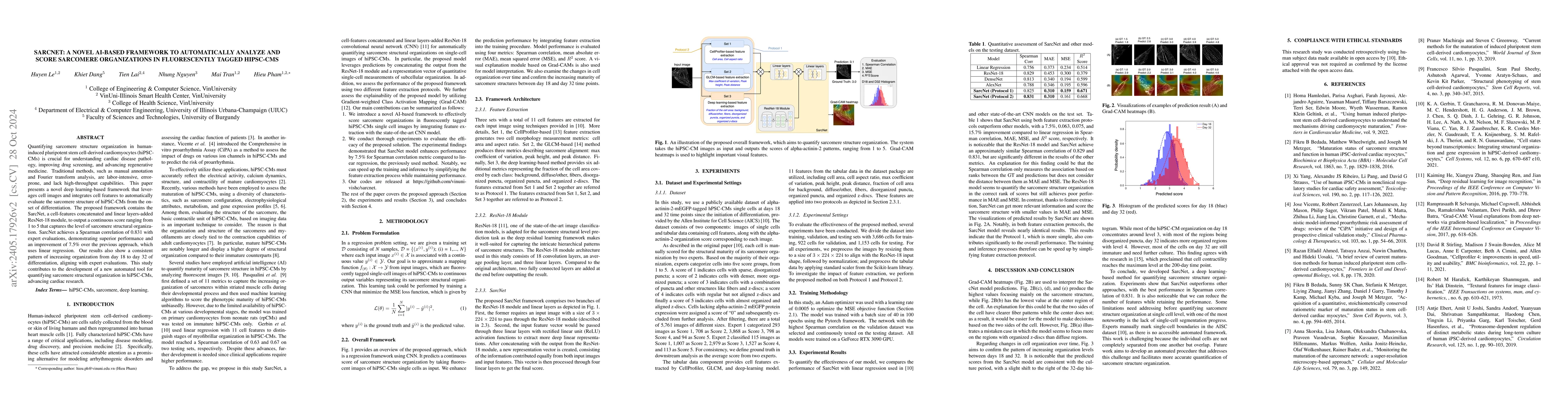Thumbnail for SarcNet: A Novel AI-based Framework to Automatically Analyze and Score
  Sarcomere Organizations in Fluorescently Tagged hiPSC-CMs