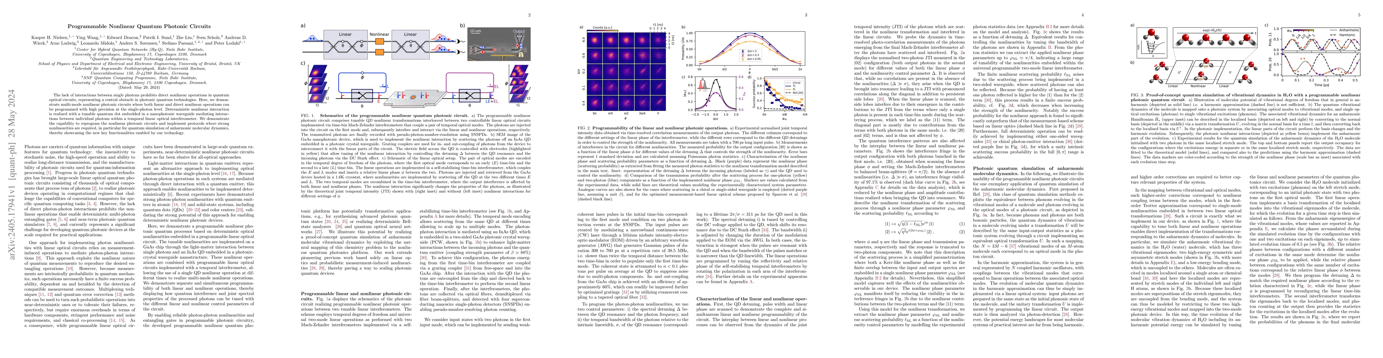 Thumbnail for Programmable Nonlinear Quantum Photonic Circuits
