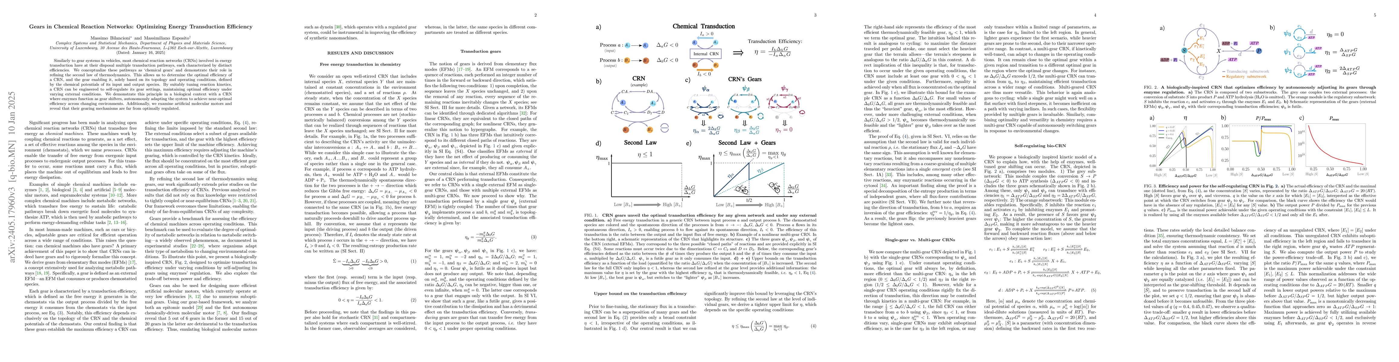 Thumbnail for Elementary Flux Modes as CRN Gears for Free Energy Transduction