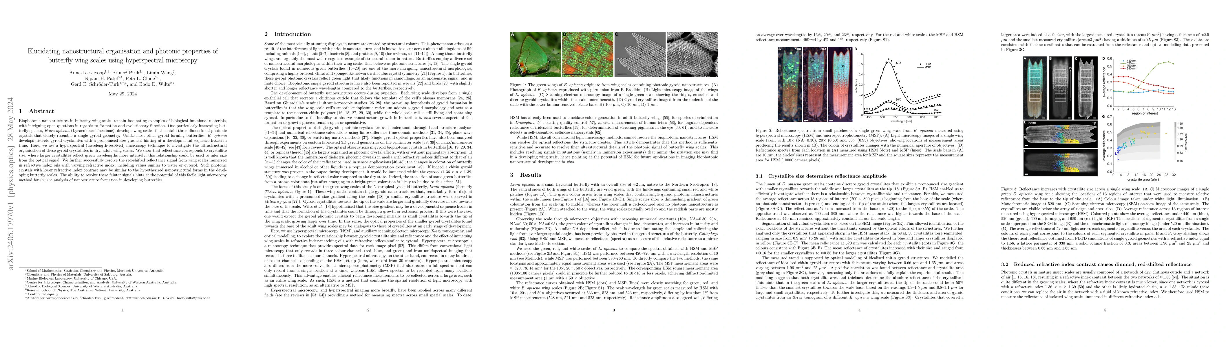 Thumbnail for Elucidating nanostructural organisation and photonic properties of
  butterfly wing scales using hyperspectral microscopy