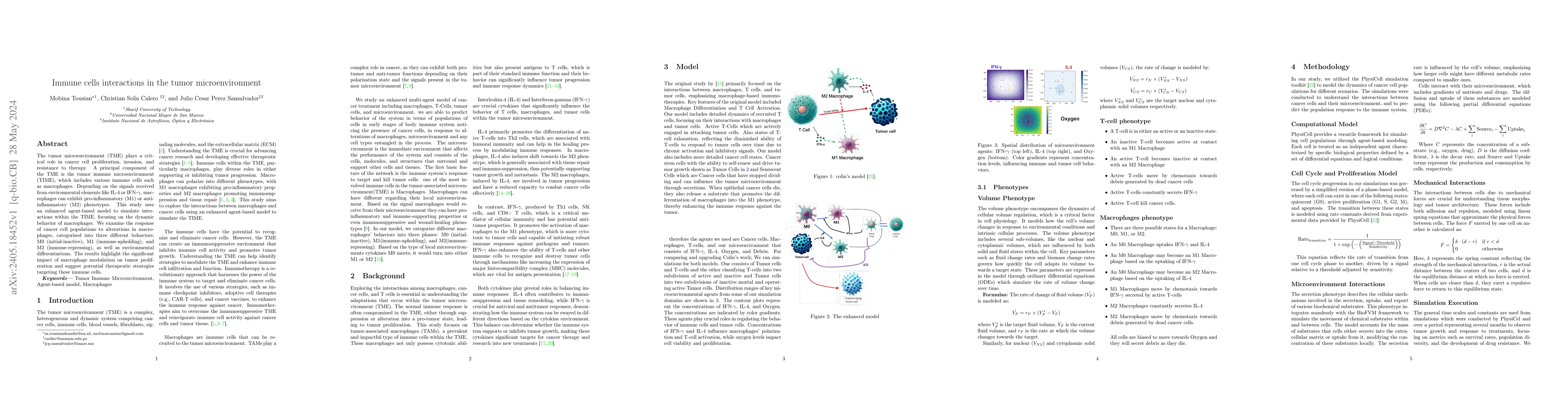 Thumbnail for Immune cells interactions in the tumor microenvironment