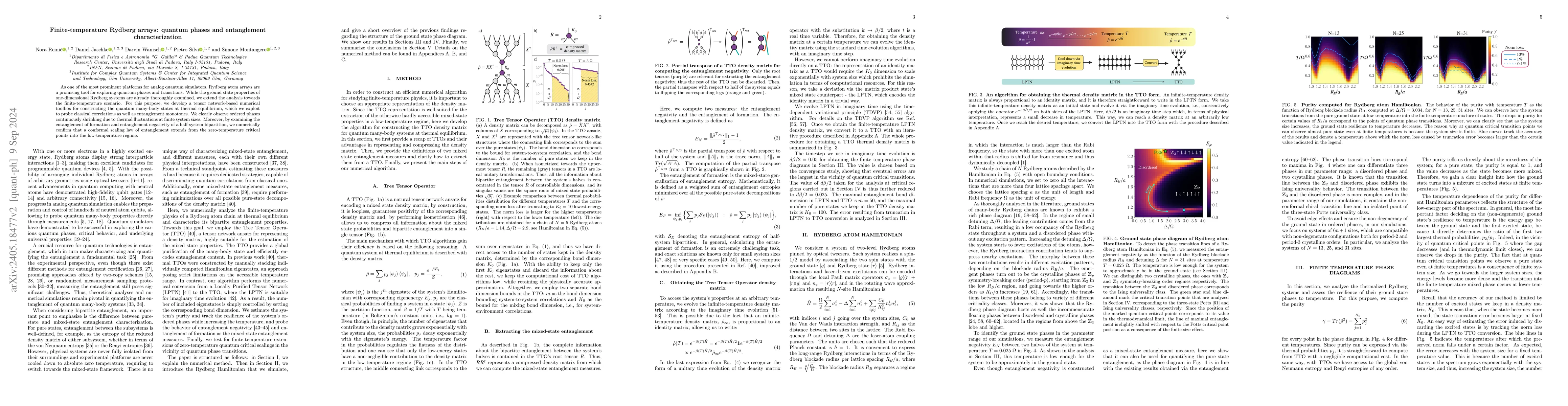 Thumbnail for Finite-temperature Rydberg arrays: quantum phases and entanglement
  characterization