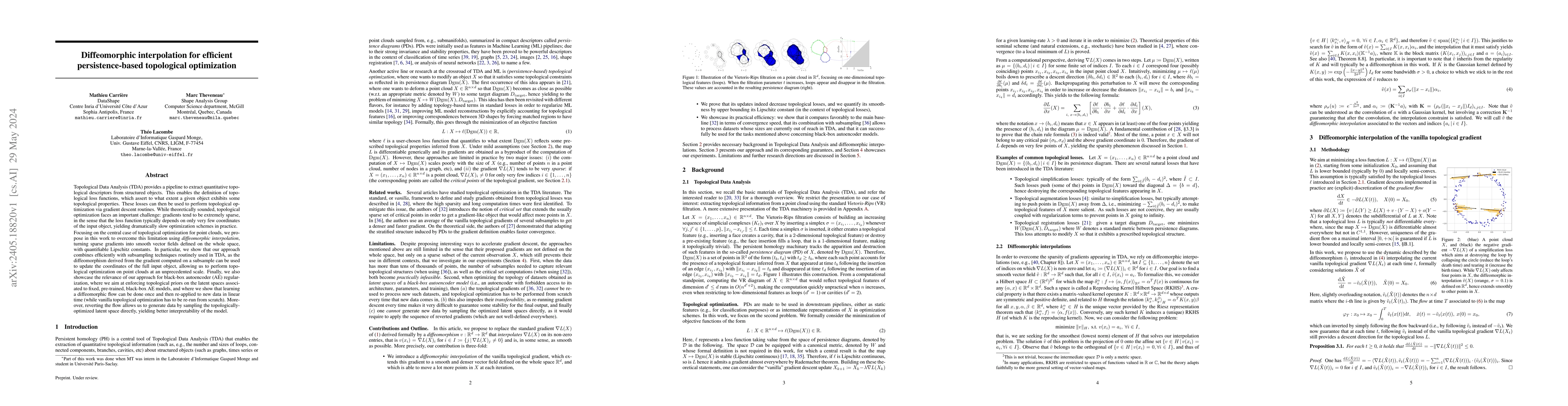 Thumbnail for Diffeomorphic interpolation for efficient persistence-based topological
  optimization