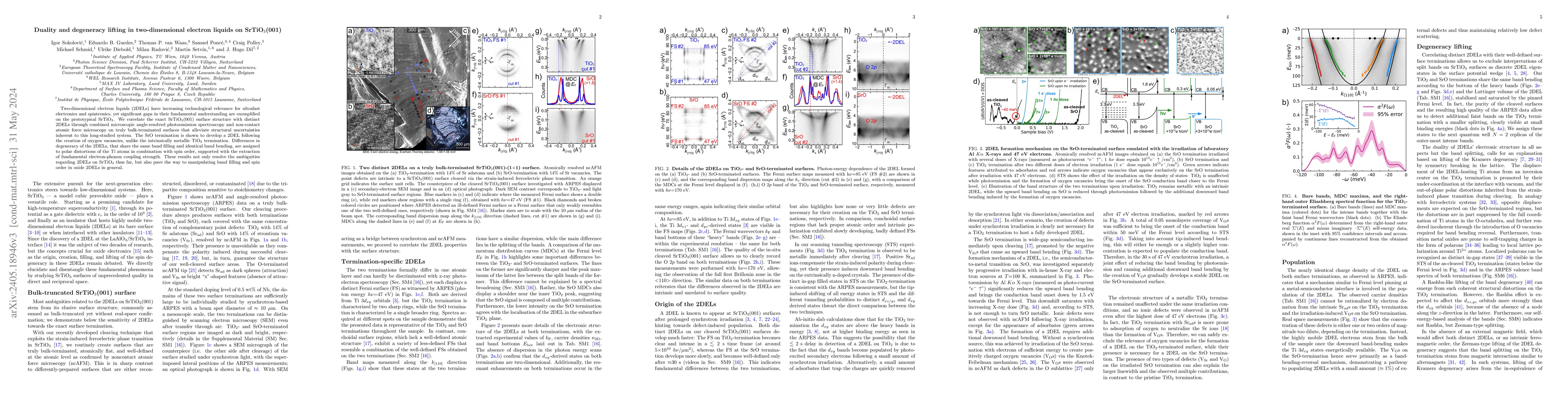 Thumbnail for Duality and degeneracy lifting in two-dimensional electron liquids on
  SrTiO$_3$(001)
