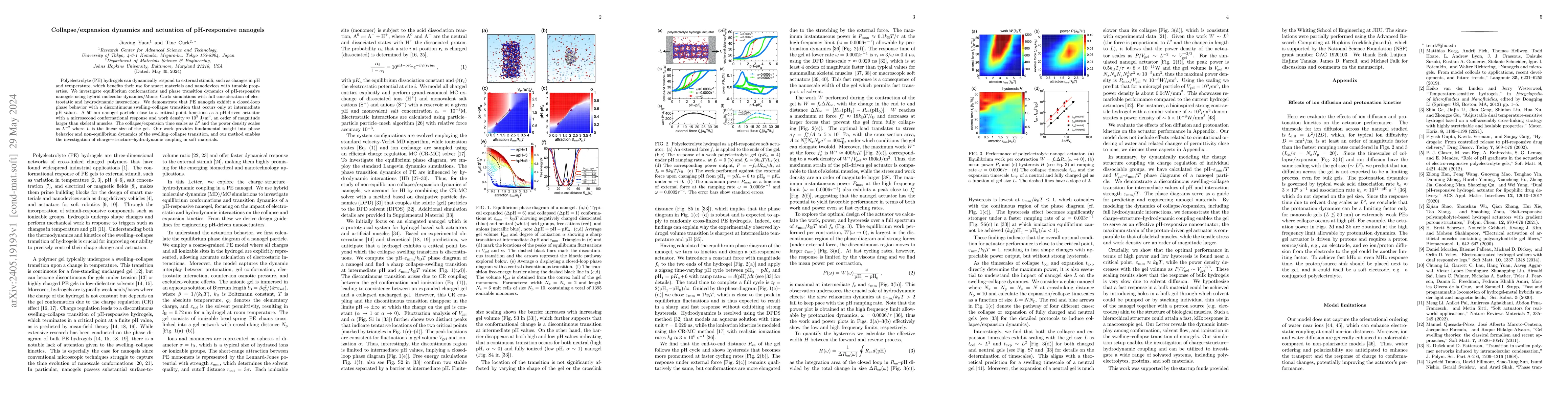 Thumbnail for Collapse/expansion dynamics and actuation of pH-responsive nanogels