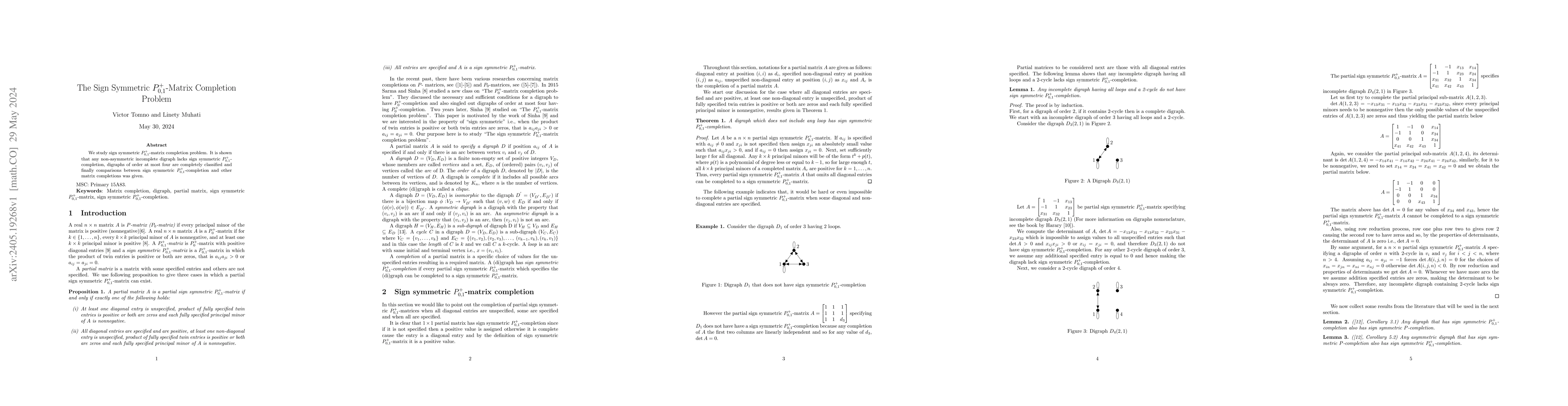 Thumbnail for The Sign Symmetric $P_{0,1}^+$-Matrix Completion Problem