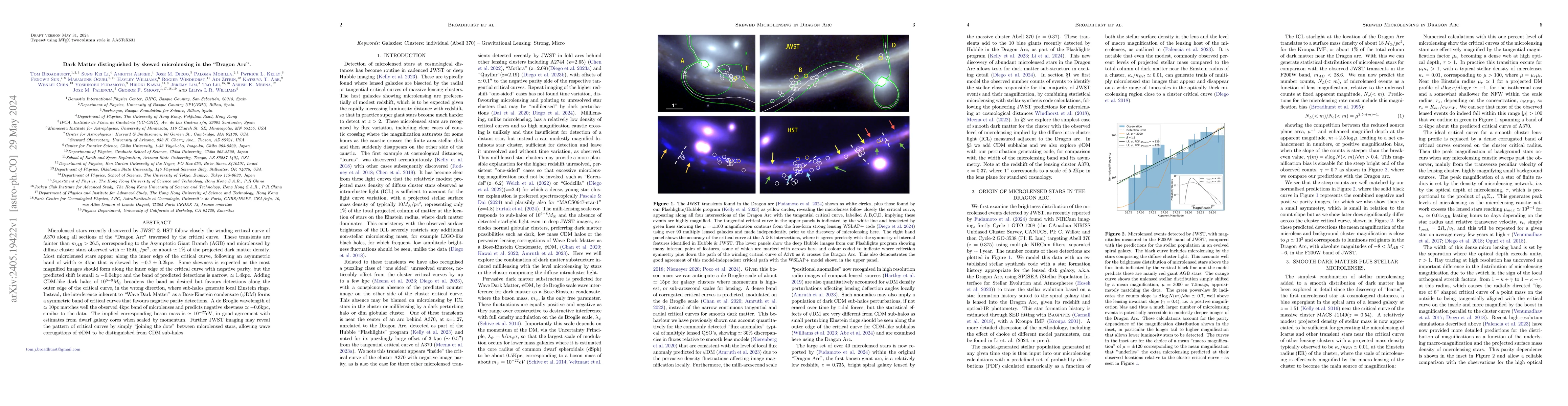 Thumbnail for Dark Matter distinguished by skewed microlensing in the "Dragon Arc"