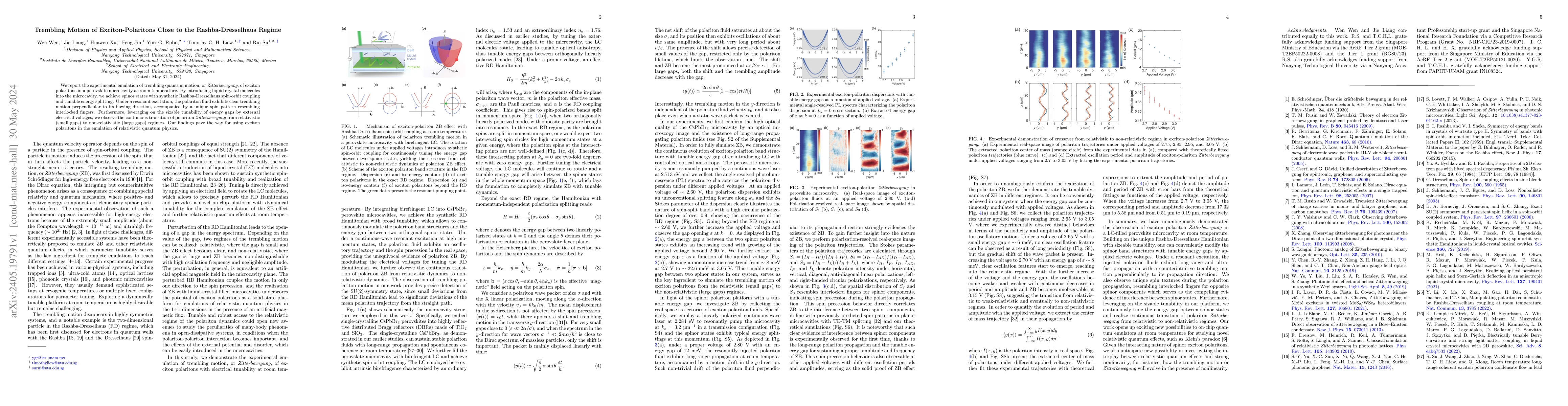 Thumbnail for Trembling Motion of Exciton-Polaritons Close to the Rashba-Dresselhaus
  Regime