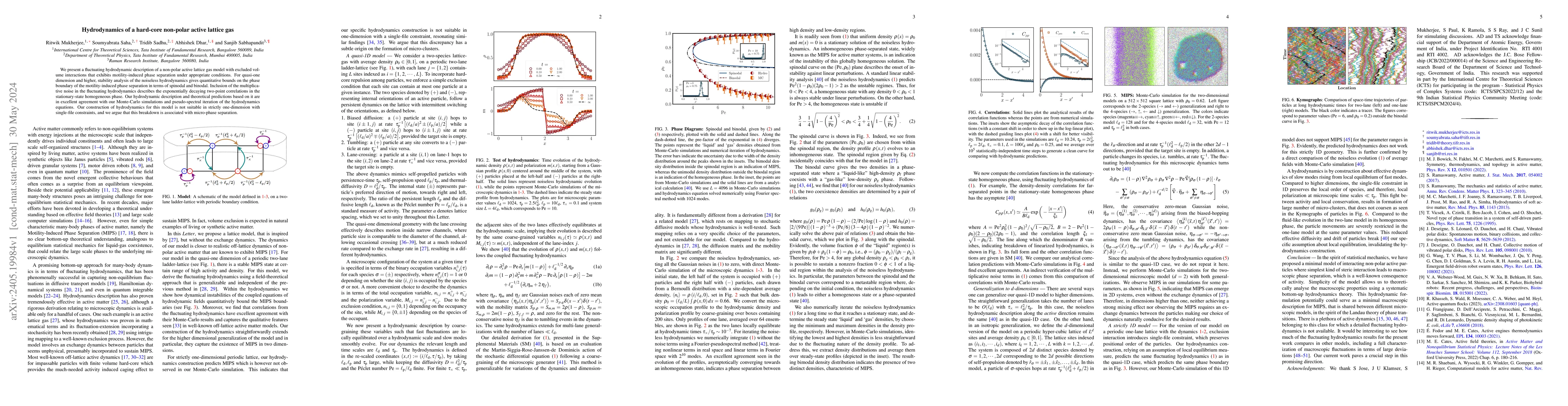 Thumbnail for Hydrodynamics of a hard-core non-polar active lattice gas