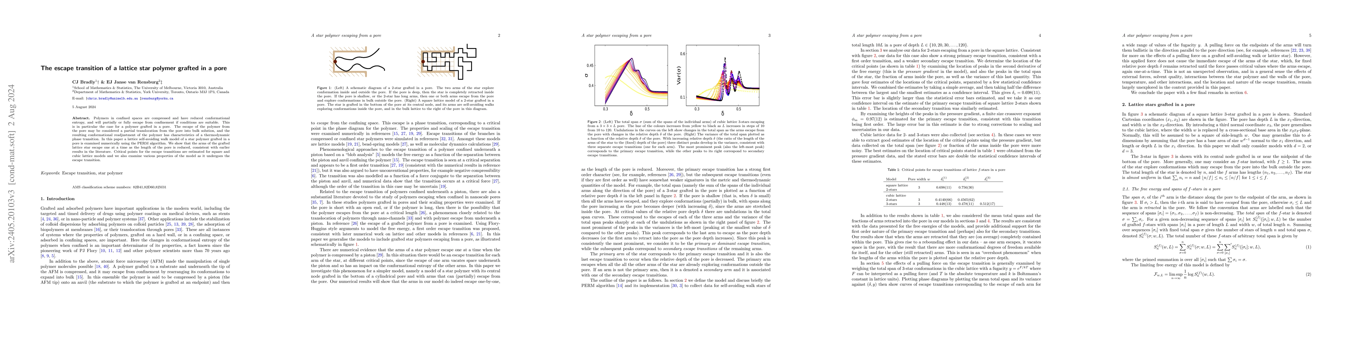 Thumbnail for The escape transition of a lattice star polymer grafted in a pore