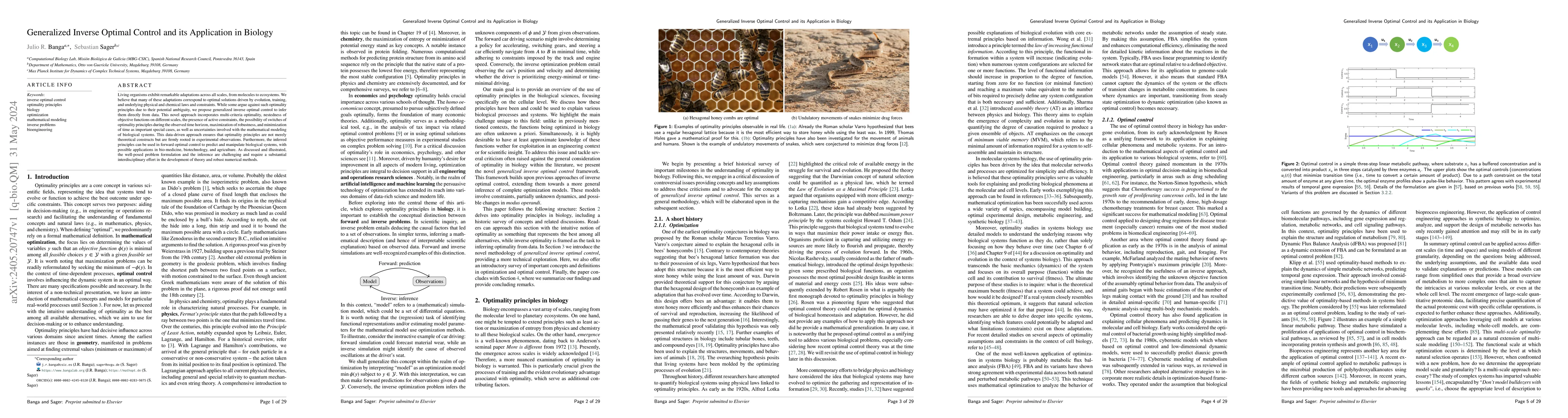 Thumbnail for Generalized Inverse Optimal Control and its Application in Biology