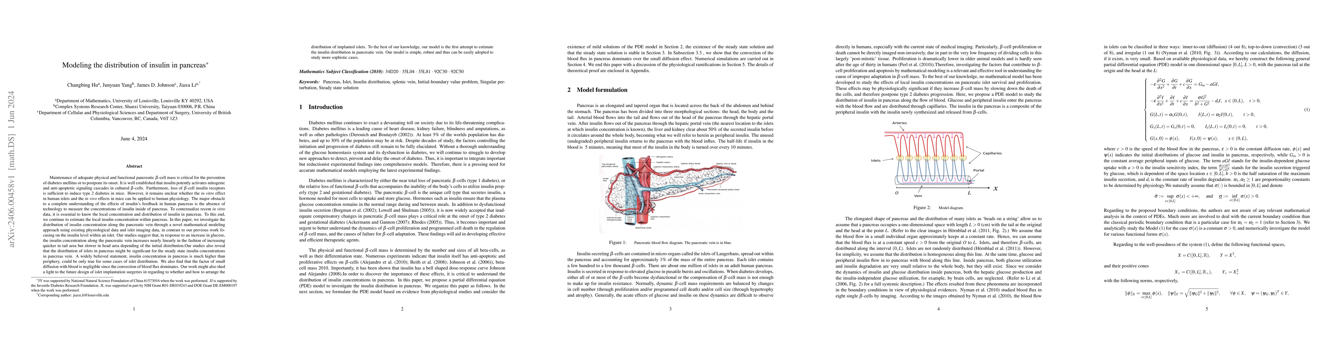 Thumbnail for Modeling the distribution of insulin in pancreas