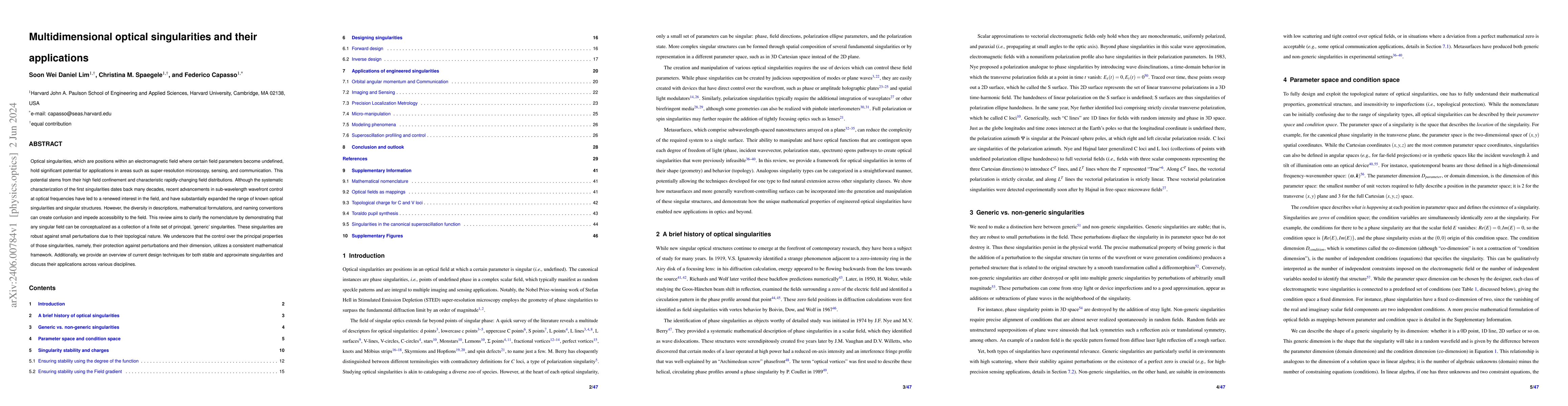 Thumbnail for Multidimensional optical singularities and their applications