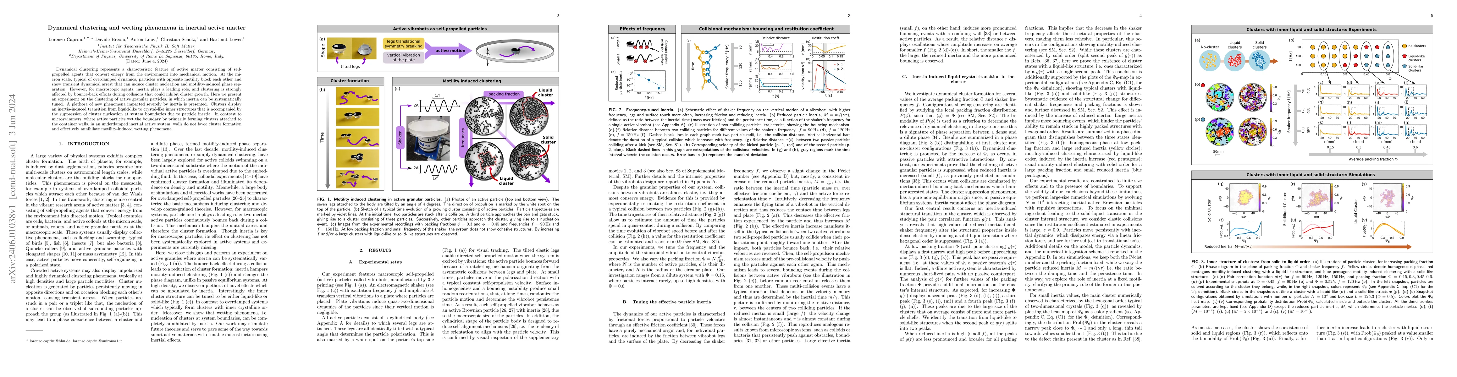 Thumbnail for Dynamical clustering and wetting phenomena in inertial active matter