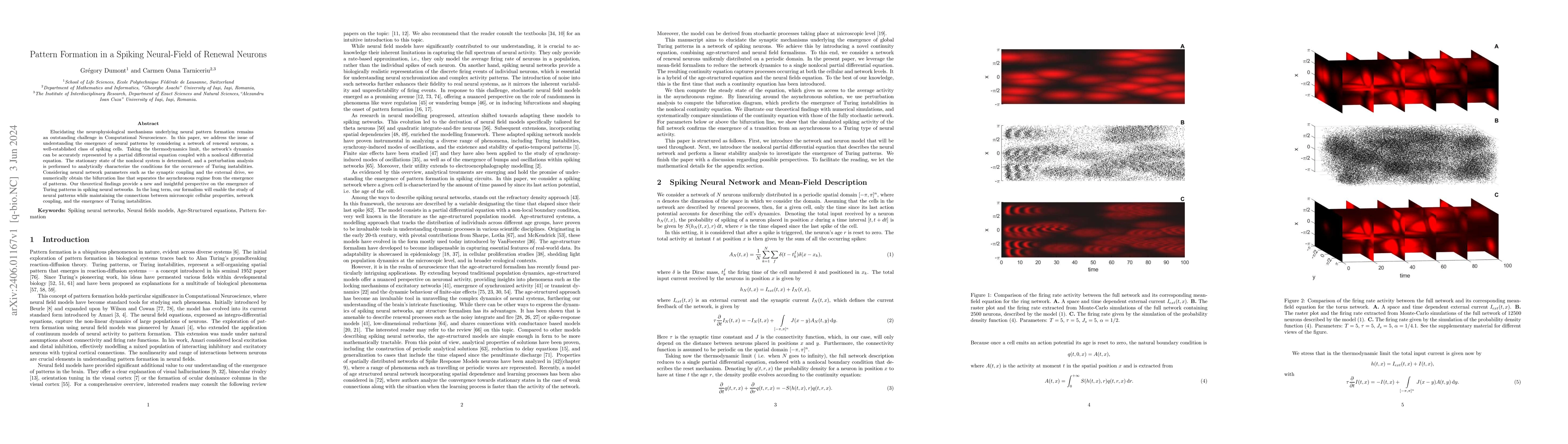 Thumbnail for Pattern Formation in a Spiking Neural-Field of Renewal Neurons