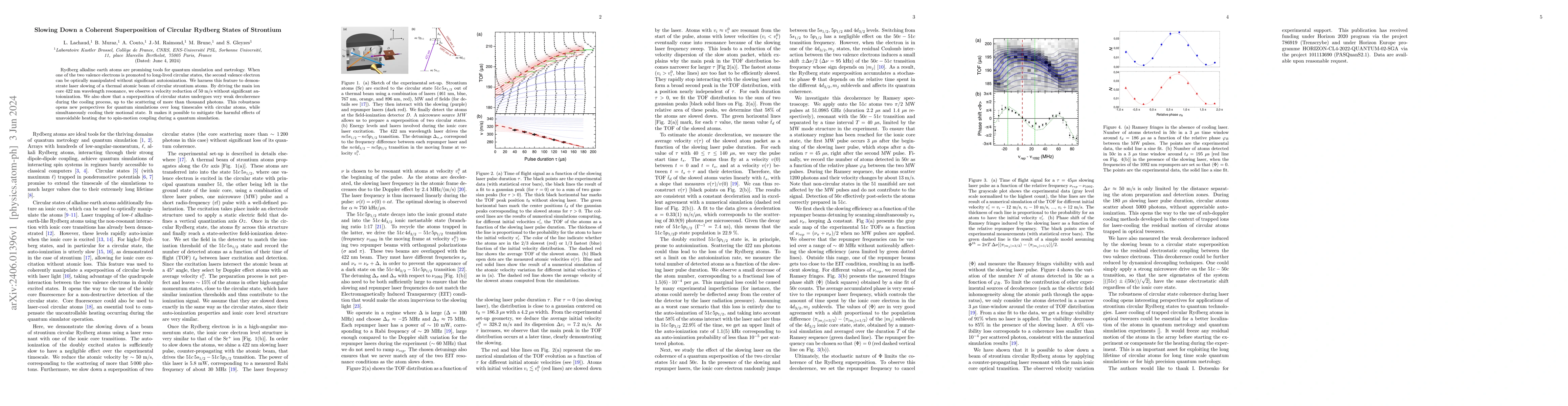 Thumbnail for Slowing Down a Coherent Superposition of Circular Rydberg States of
  Strontium
