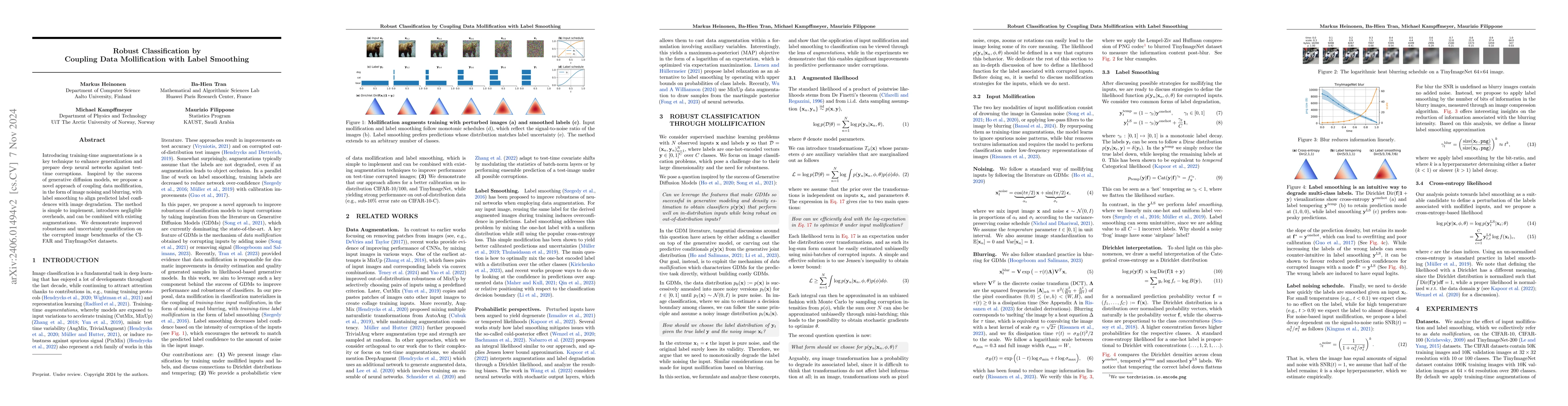 Thumbnail for Robust Classification by Coupling Data Mollification with Label
  Smoothing