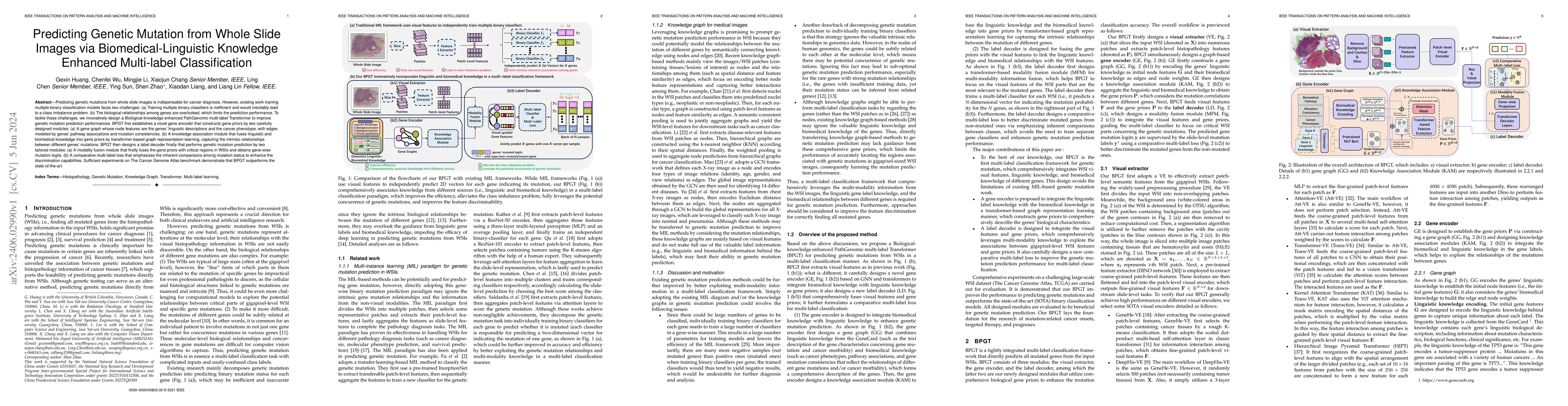 Thumbnail for Predicting Genetic Mutation from Whole Slide Images via
  Biomedical-Linguistic Knowledge Enhanced Multi-label Classification