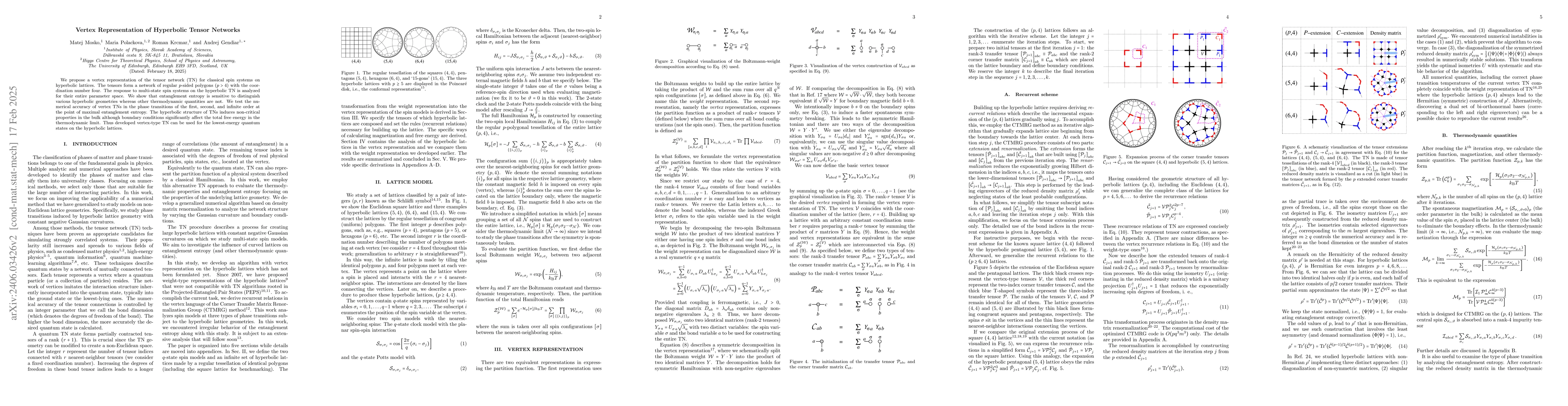 Thumbnail for Vertex Representation of Hyperbolic Tensor Networks