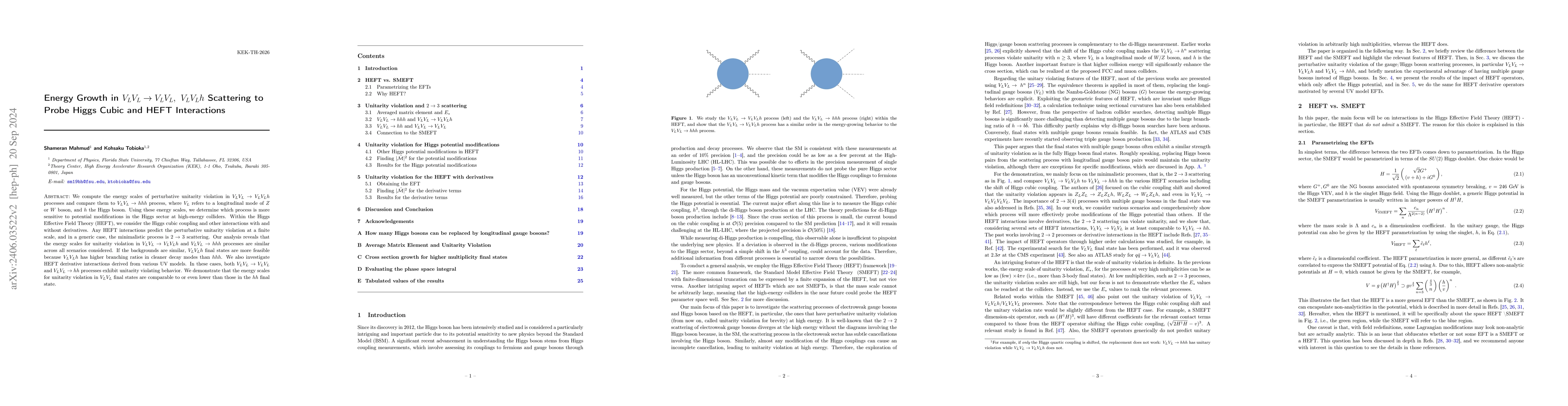 Thumbnail for Energy Growth in $V_LV_L\to V_LV_L,\ V_LV_Lh$ Scattering to Probe Higgs
  Cubic and HEFT Interactions