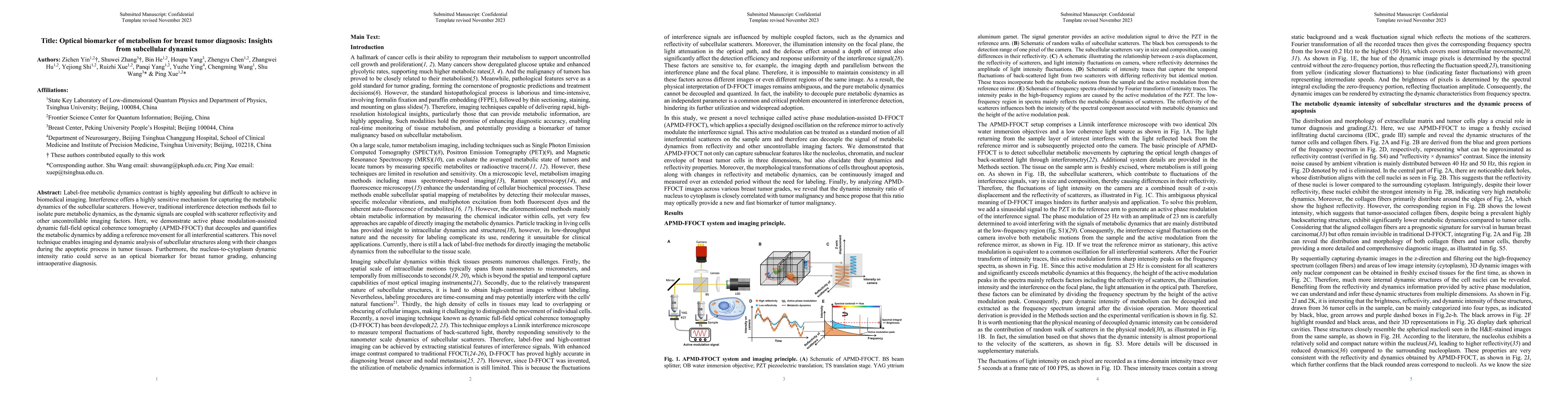 Thumbnail for Optical biomarker of metabolism for breast tumor diagnosis: Insights
  from subcellular dynamics