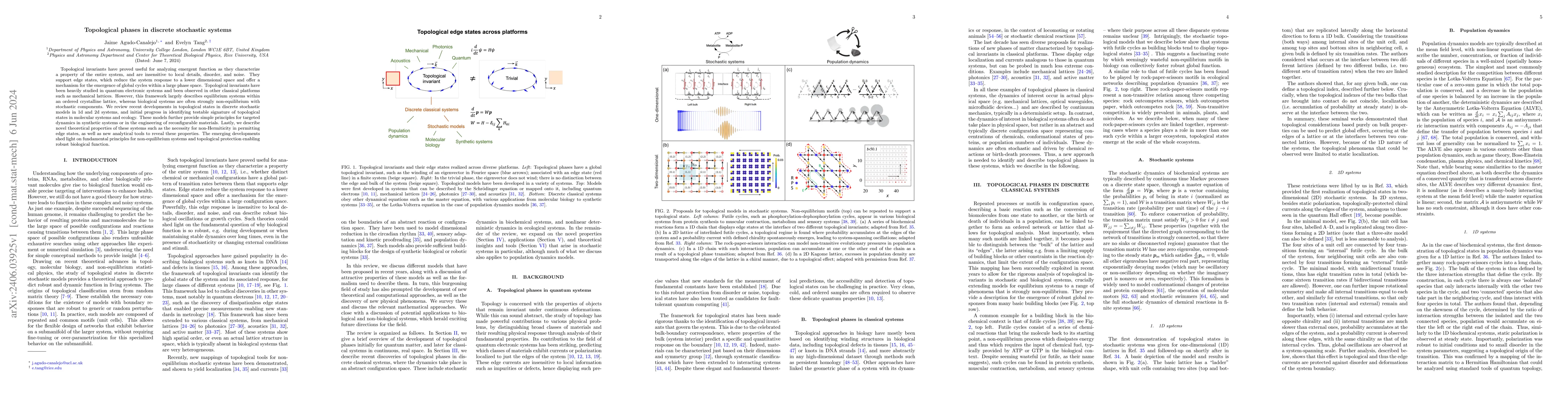 Thumbnail for Topological phases in discrete stochastic systems