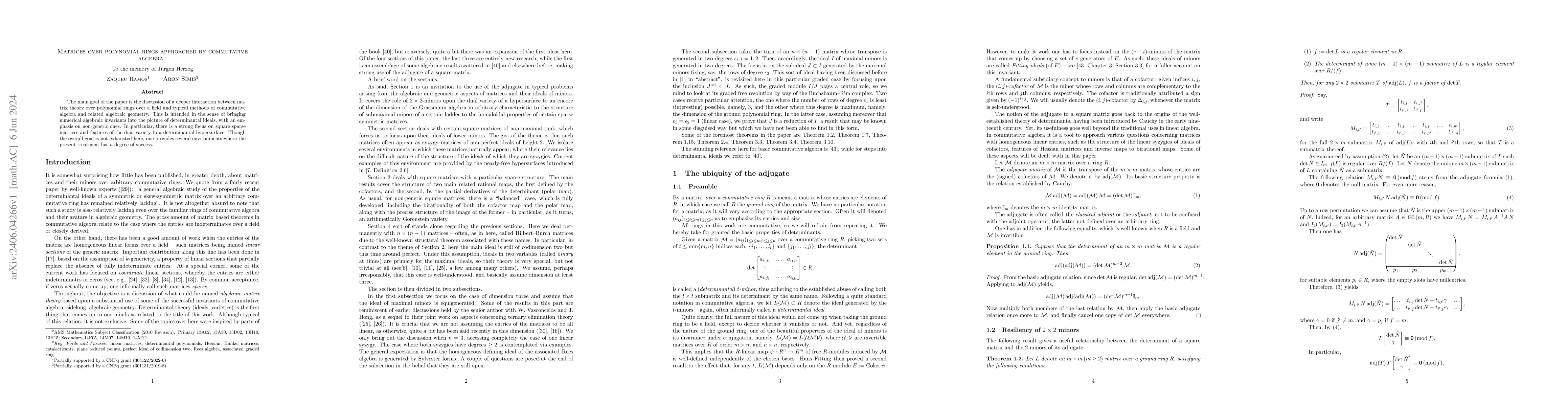 Thumbnail for Matrices over polynomial rings approached by commutative algebra
