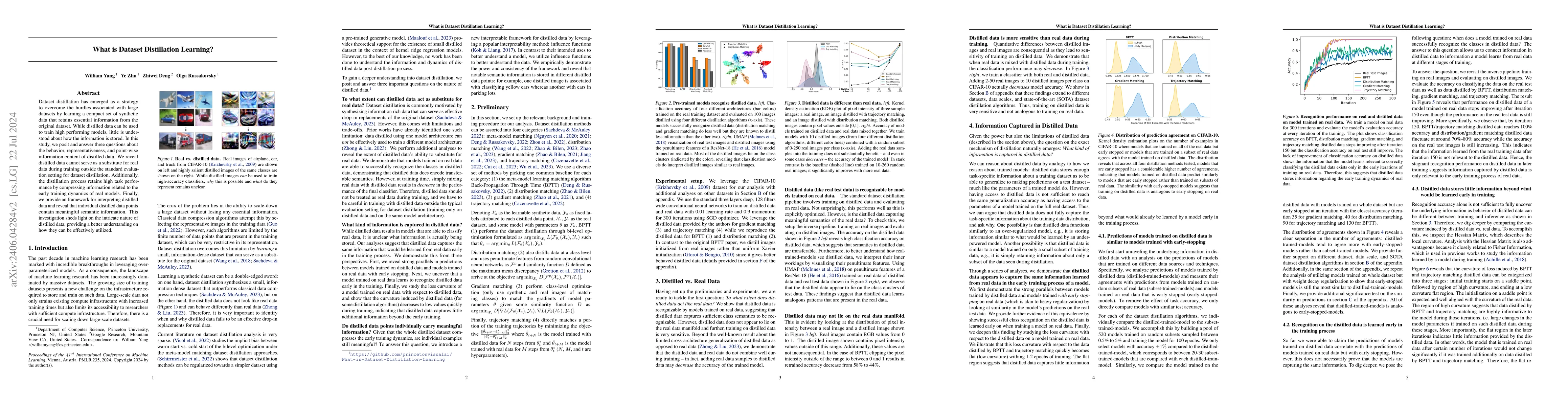 Thumbnail for What is Dataset Distillation Learning?