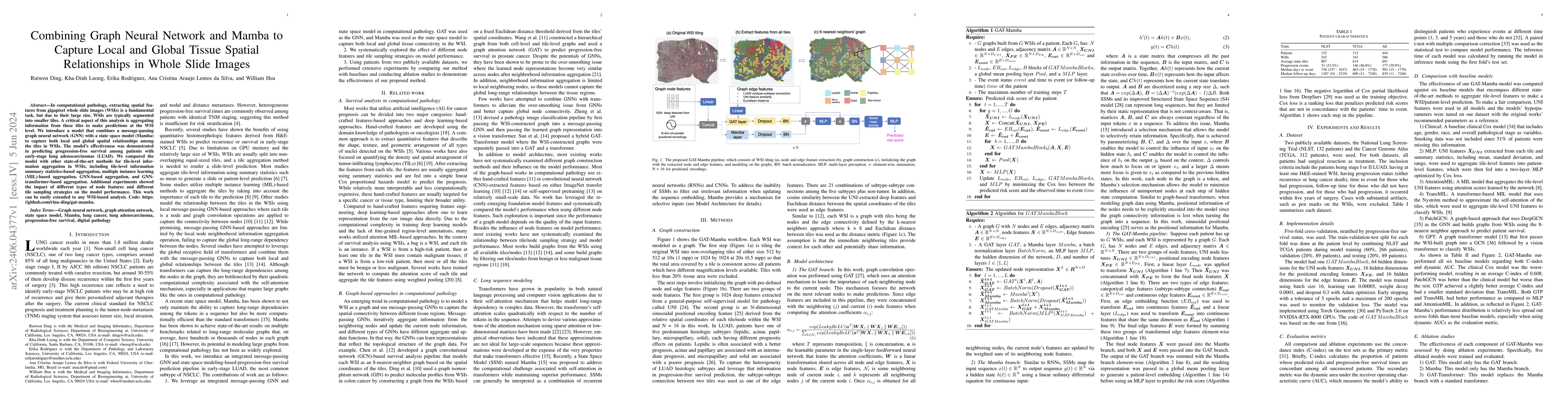 Thumbnail for Combining Graph Neural Network and Mamba to Capture Local and Global
  Tissue Spatial Relationships in Whole Slide Images