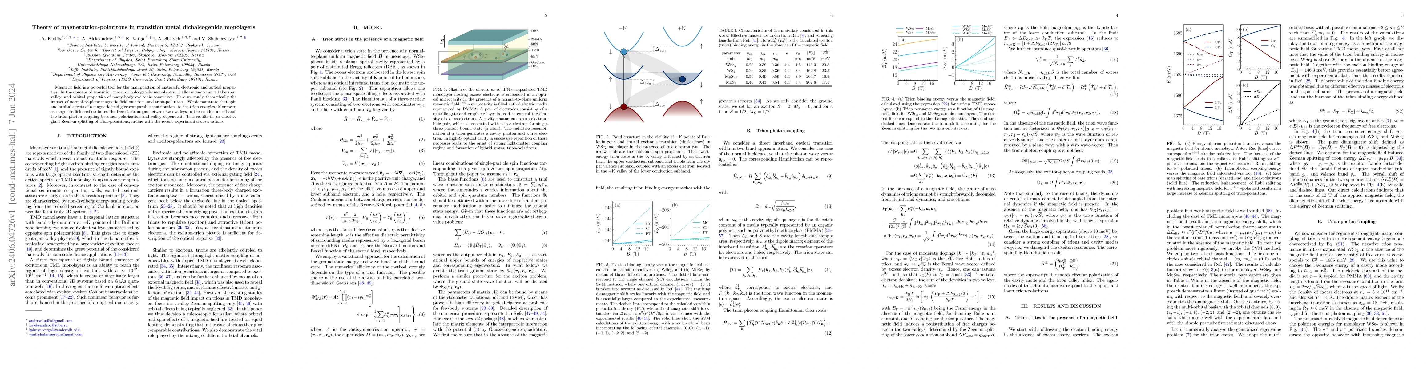 Thumbnail for Theory of magnetotrion-polaritons in transition metal dichalcogenide
  monolayers