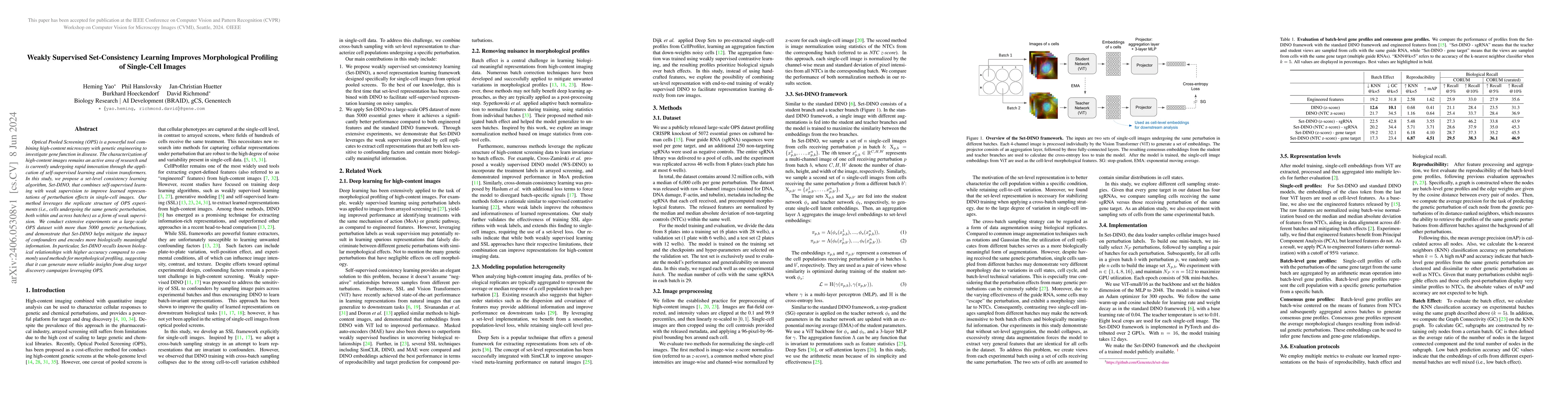 Thumbnail for Weakly Supervised Set-Consistency Learning Improves Morphological
  Profiling of Single-Cell Images