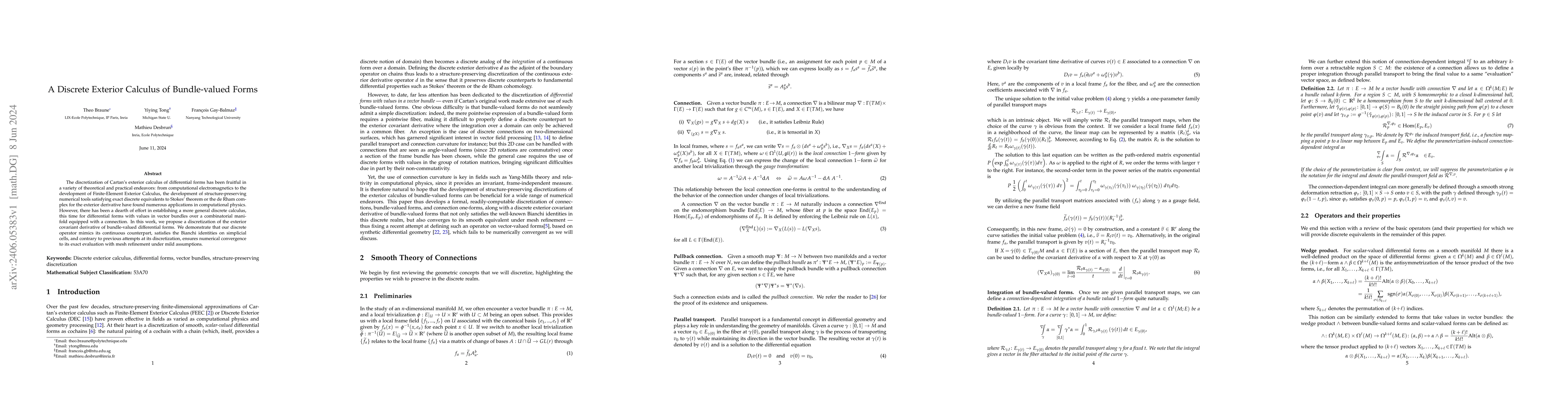 Thumbnail for A Discrete Exterior Calculus of Bundle-valued Forms